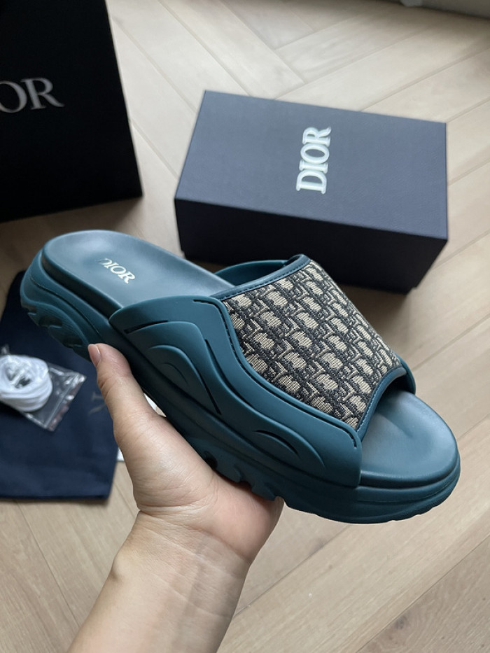 D1R* SLIDE copshoe  DR-SLIDE 007