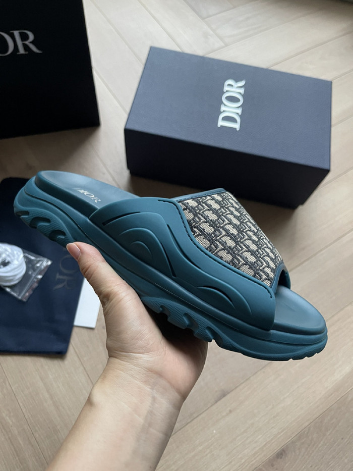 D1R* SLIDE copshoe  DR-SLIDE 007