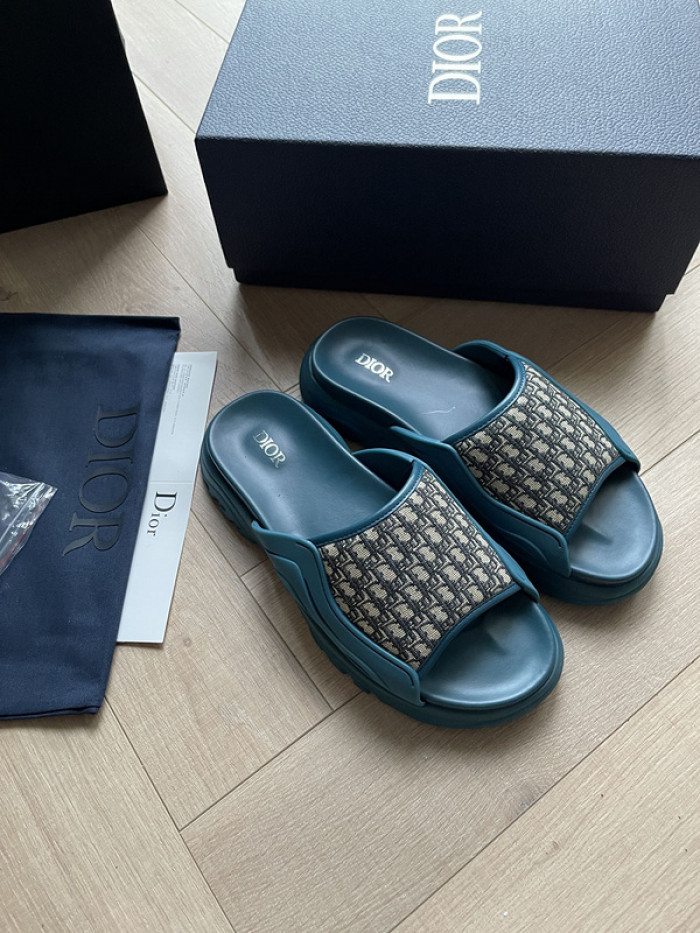 D1R* SLIDE copshoe  DR-SLIDE 007