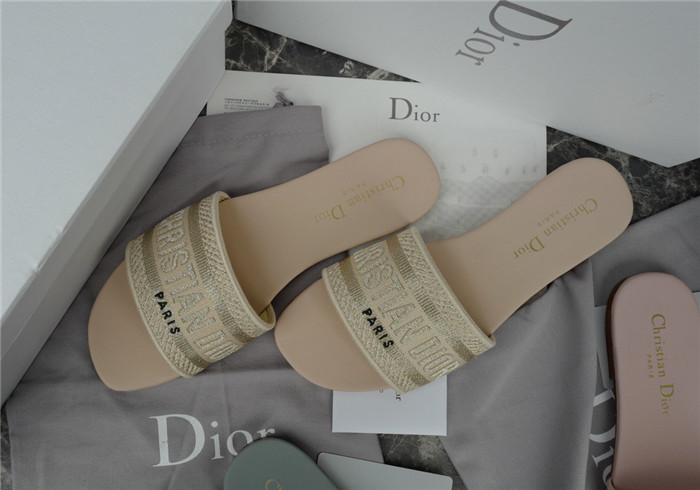 D1R* SLIDE copshoe  DR-217