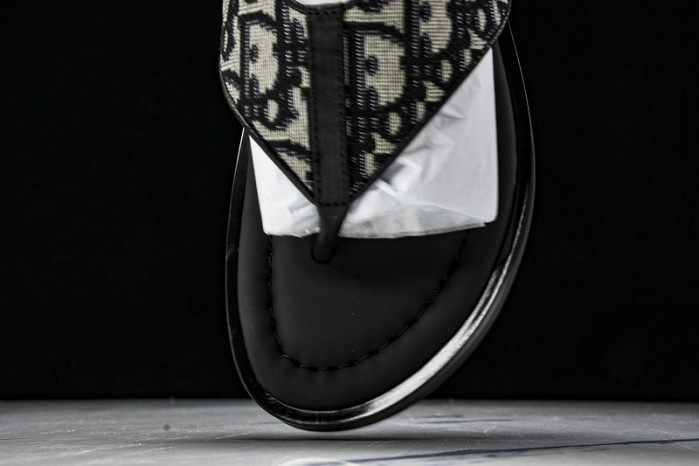 D1R* SLIDE copshoe  DR-SLIDE 015