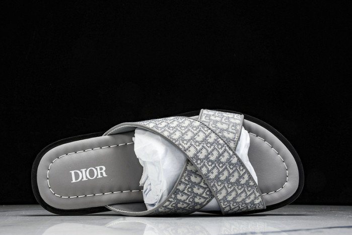 D1R* SLIDE copshoe  DR-SLIDE 016