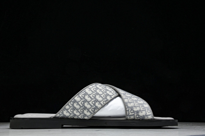 D1R* SLIDE copshoe  DR-SLIDE 016