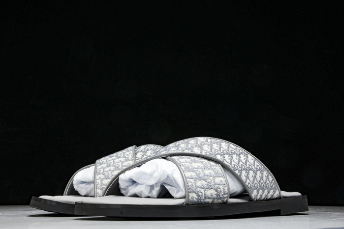 D1R* SLIDE copshoe  DR-SLIDE 016