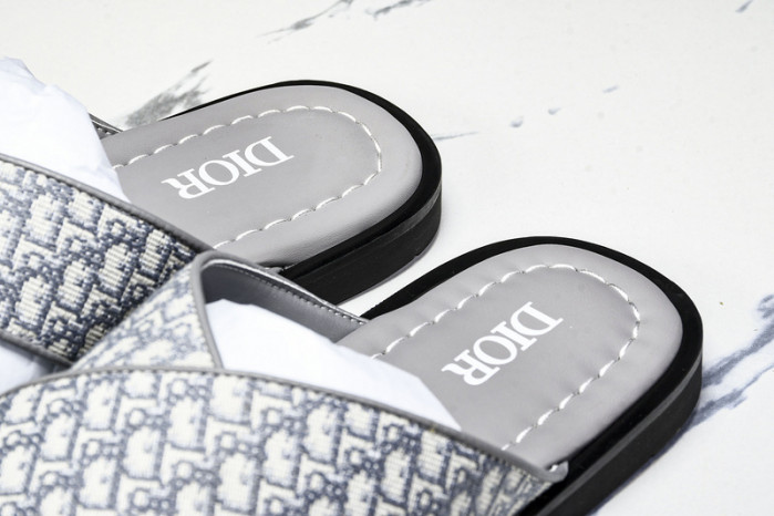 D1R* SLIDE copshoe  DR-SLIDE 016