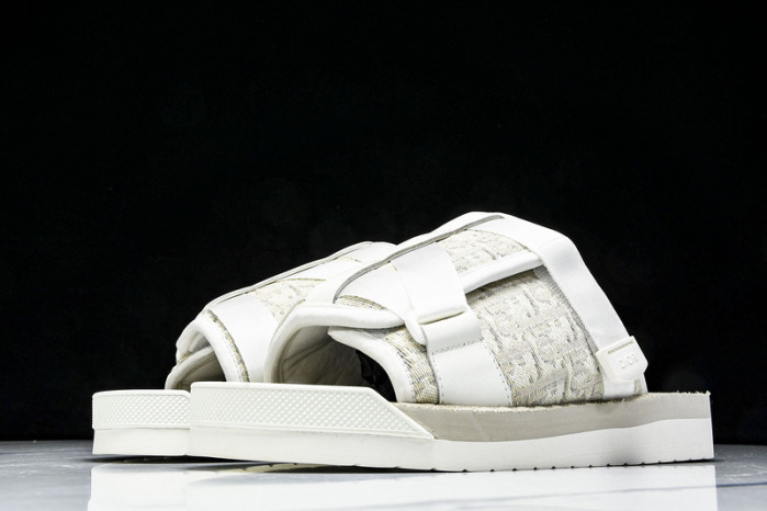 D1R* SLIDE copshoe  DR-SLIDE 019