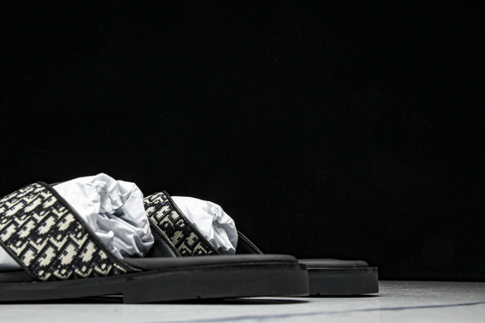 D1R* SLIDE copshoe  DR-SLIDE 020