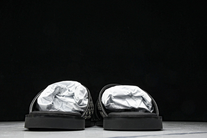 D1R* SLIDE copshoe  DR-SLIDE 020