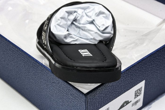 D1R* SLIDE copshoe  DR-SLIDE 020