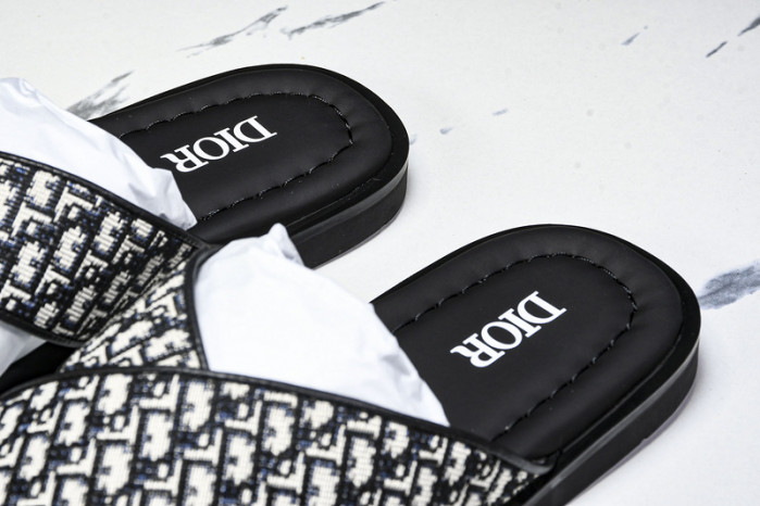 D1R* SLIDE copshoe  DR-SLIDE 020