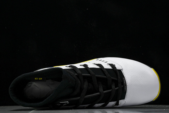 Jordan 17 Retro Low All-Star Lightning   FJ0395-100