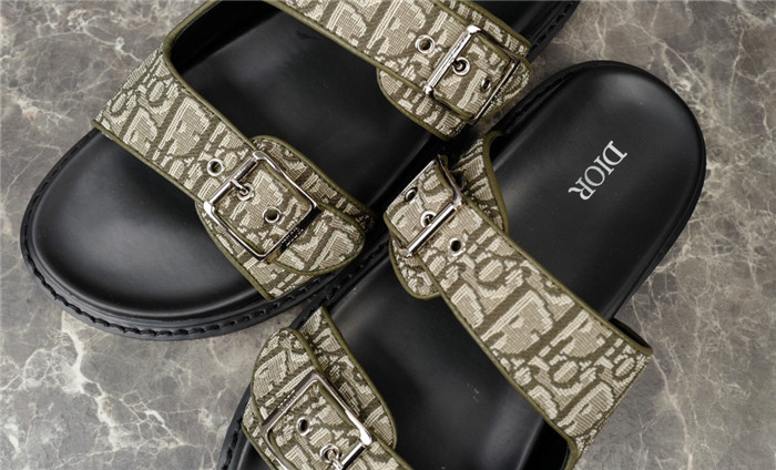 D1R* SLIDE copshoe  DR-241