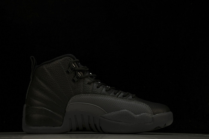 Air Jordan 12 Black Wolf Grey CT8013-019
