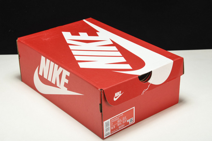 Nike Dunk Low Essential Paisley Pack Orange  DH4401-103