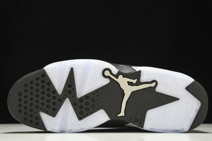 Air Jordan 6 Metallic Silver Chrome DX2836-001